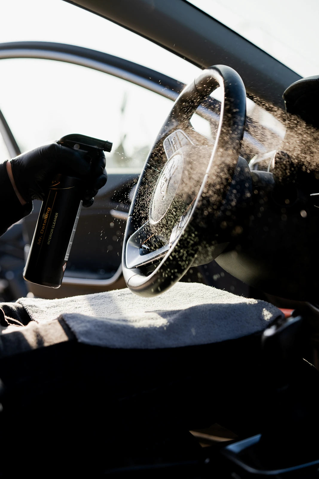 Mr. | Interior Cleaner